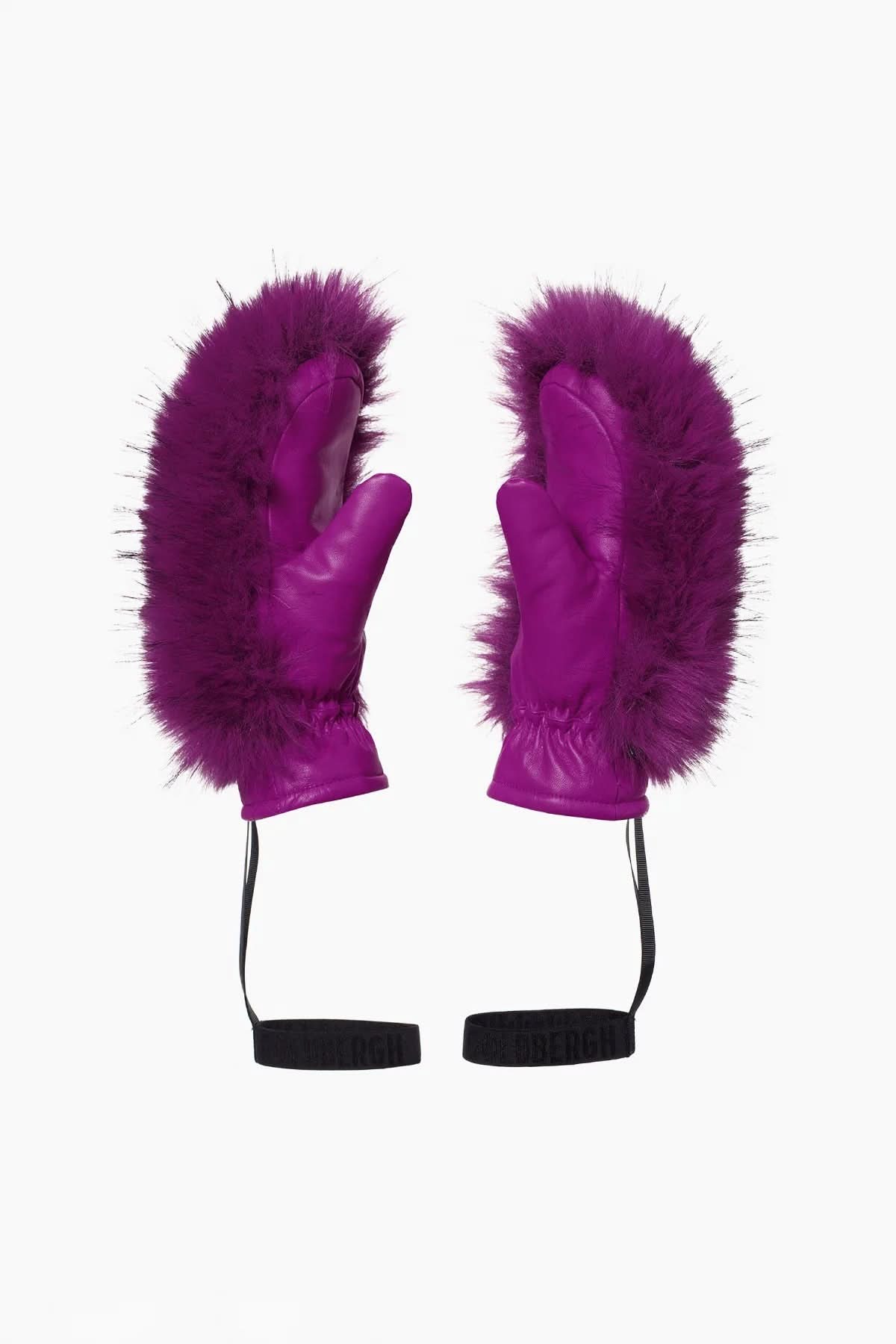 HILL ski gloves mittens purple