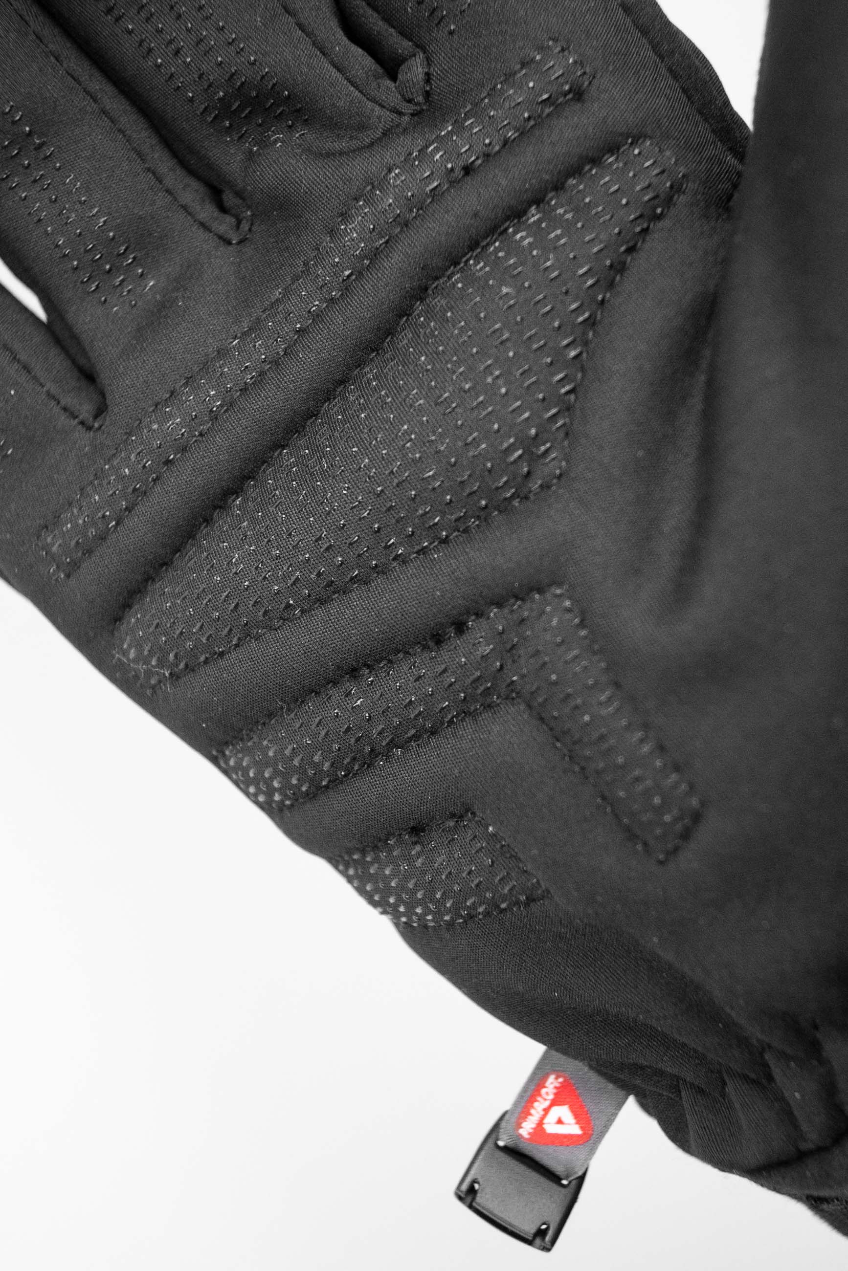 Backcountry Touch-Tec Ski Gloves