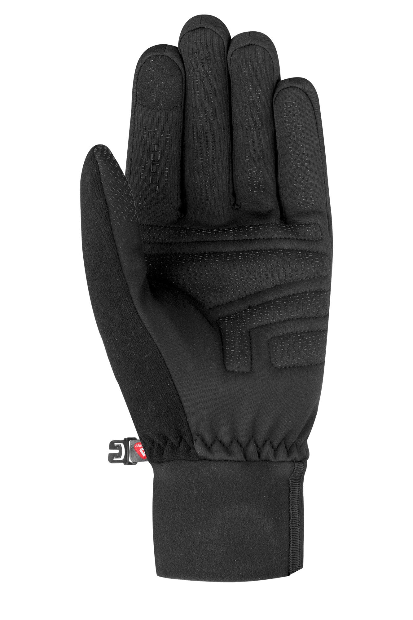 Backcountry Touch-Tec Ski Gloves