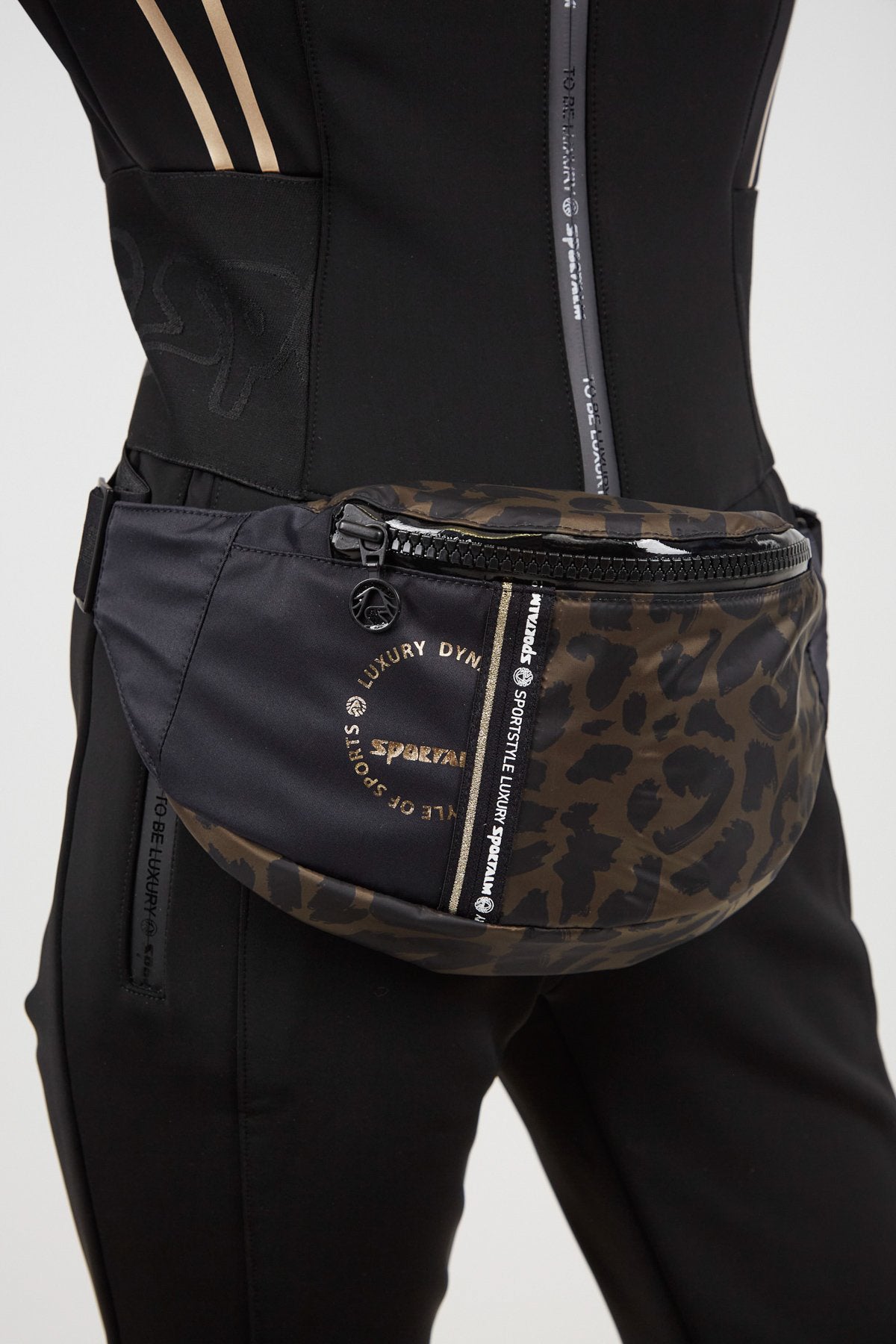 Dino bag
