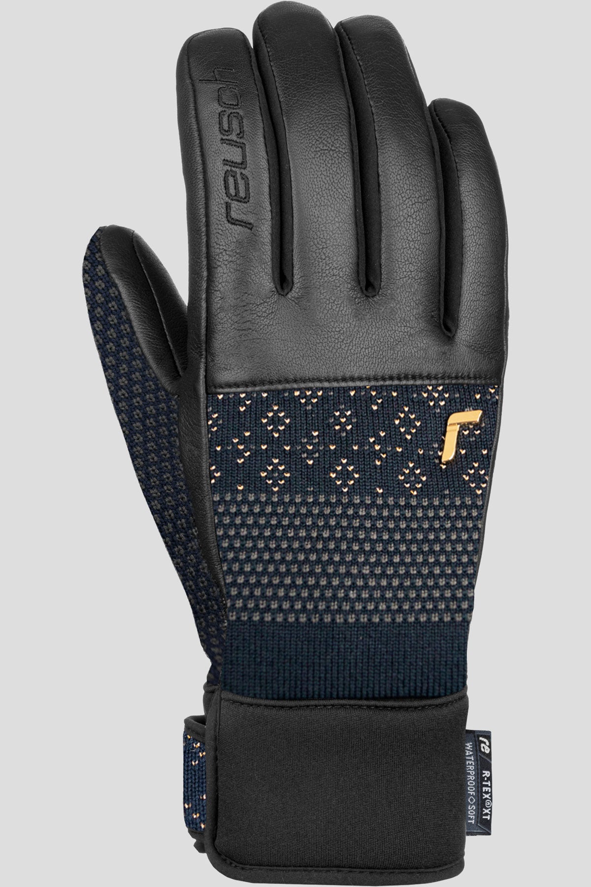 Petra Vlhova R-Tex Xt Ski Gloves